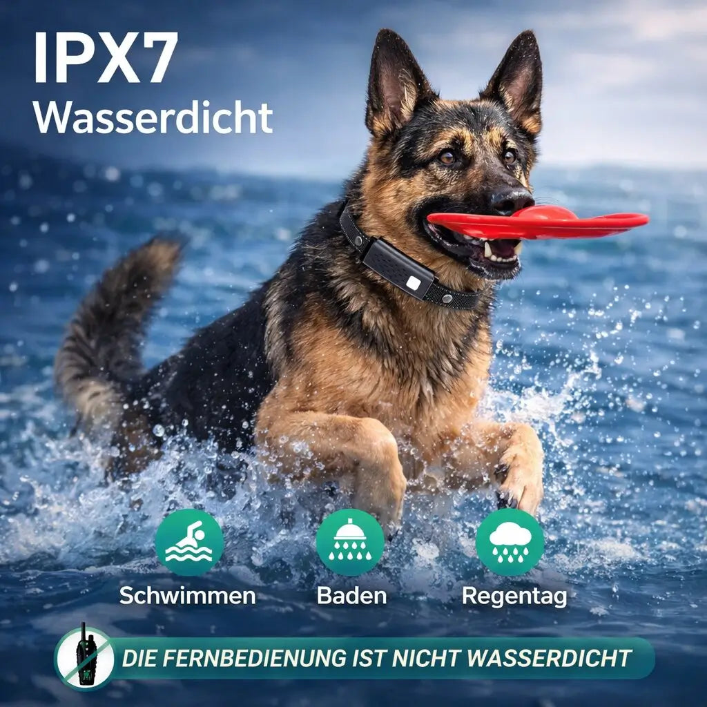 Antibell Halsband fr Hunde | Hund Erziehungshalsband mit Fernbedienun   Cendura Deutschland
