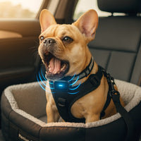 Hundebellhalsband | Anti Bell Halsband für Hunde | BellFrei