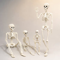 Poseerbaar skelet voor Halloween
