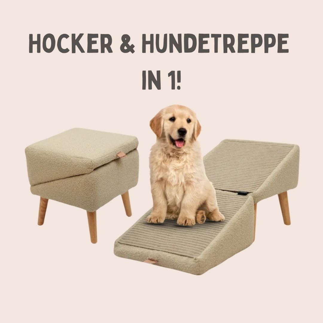 hunderampe sofa Hundetreppe für Bett & Sofa | Hunderampe & Hocker in einem