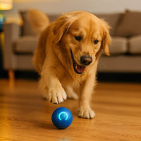 Hundespielzeug | Interaktives Spielzeug für Hunde | WuffBall