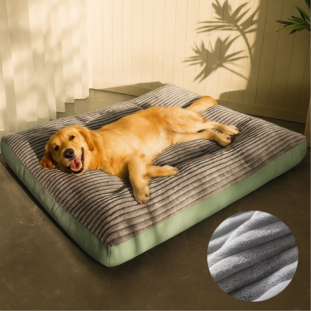 hundespielzeug wasser Beißendes, mit Wasser gefülltes, gefrorenes, fruchtförmiges Hundespielzeug  aus Gummi – FunnyFuzzy